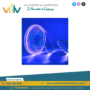 cinta-led-220v-120d-10m-14w-m-azul-9c3-luzpe