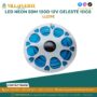 led-neon-50m-120d-12v-celeste-1dc8-luzpe