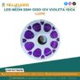 led-neon-50m-120d-12v-violeta-1dc6-luzpe