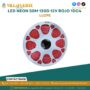 led-neon-50m-120d-12v-rojo-1dc4-luzpe
