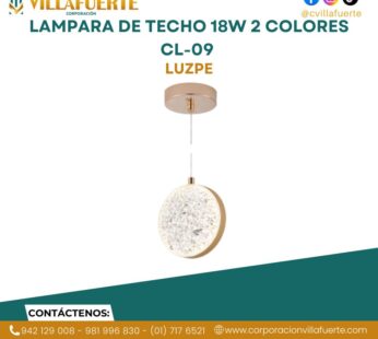 LAMPARA DE TECHO 18W 2 COLORES CL-09 LUZPE