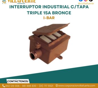 INTERRUPTOR INDUSTRIAL C/TAPA TRIPLE 15A BRONCE