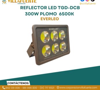 REFLECTOR LED TGD-DCB 300W PLOMO IP65 6500K EVERLEO