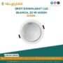 spot-downlight-luz-blanca-dixon-25-w-6500k